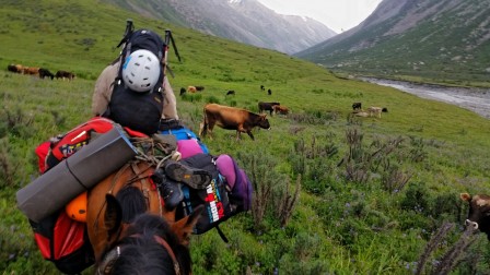 Montée au camp de base, vue de mon cheval, août 2019 Montée au camp de base, vue de mon cheval