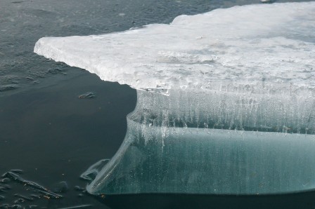 Débâcle. La glace devient plus opaque, mais il reste quelques jolis micro-icebergs