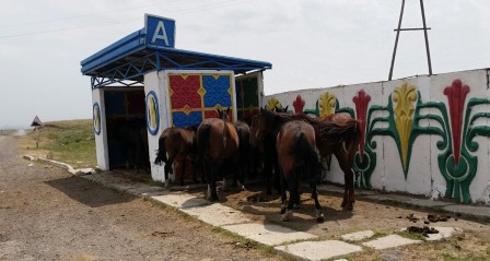 Un arrêt d'autobus typique dans la steppe kazakhe